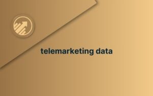 telemarketing data